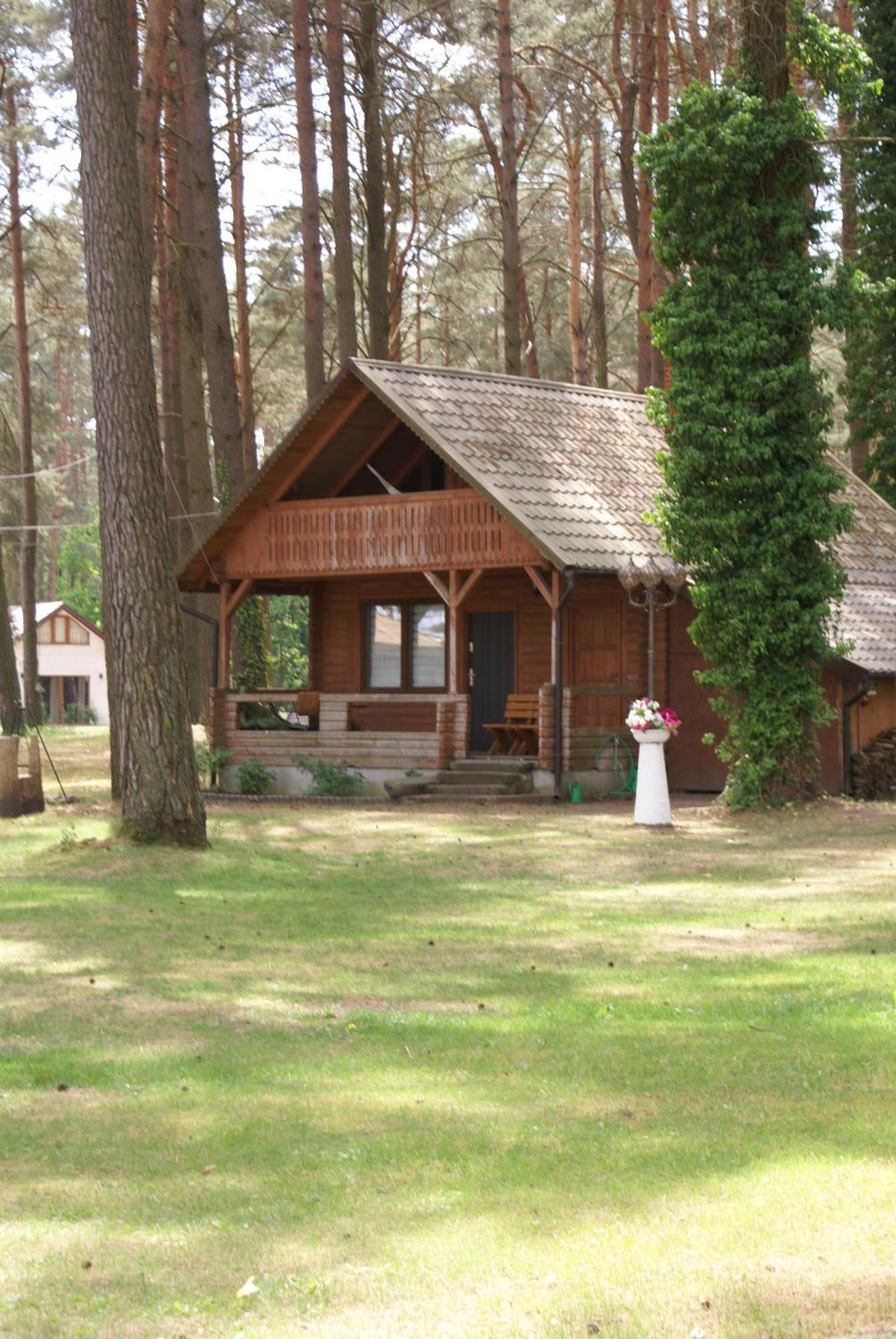 Mazurski Osrodek Szych Bogusze Extérieur photo